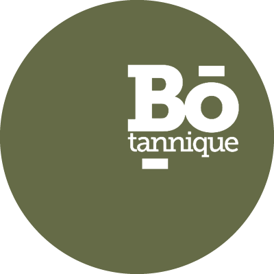 Bo-Tannique - Restaurant Bordeaux - Restaurant Bordeaux Saint-Pierre